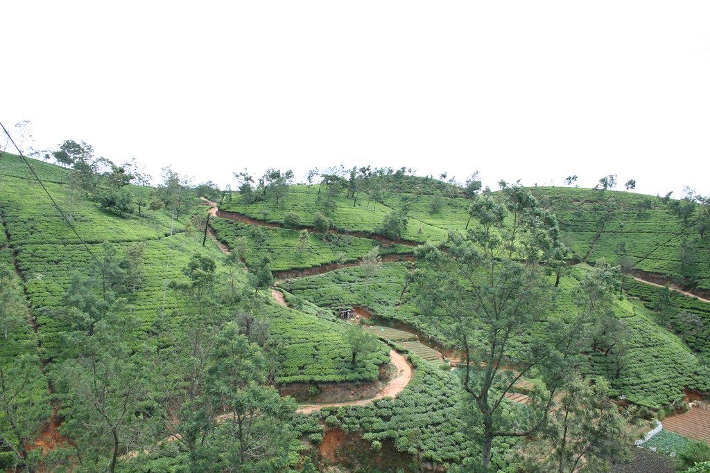 Tea country hills at Kandapola viewed from a tea factory, Sri Lanka